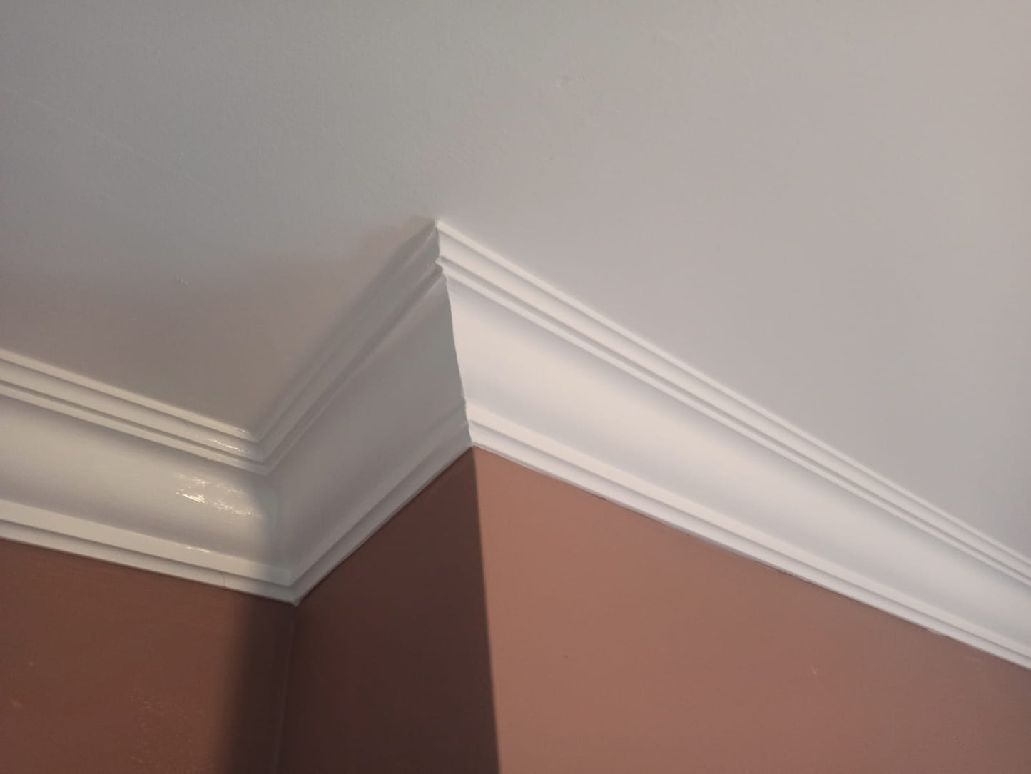 Reverse Ogee - Classic Coving